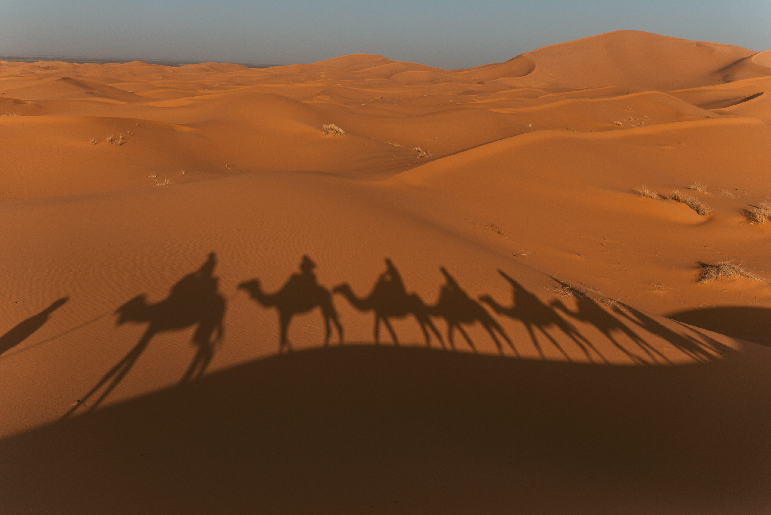 Eine geschwungene Wüstenlandschaft mit orangefarbenem Sand, durch die eine Kamelkaravane im sanften Abendlicht von Marokko zieht - offlinepleasure.at