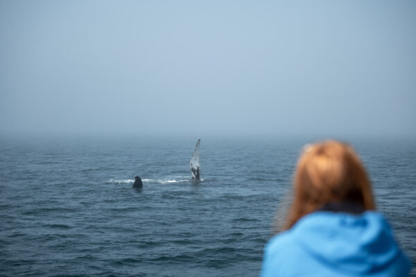 Mein Weg zu mehr „Offline Pleasure“