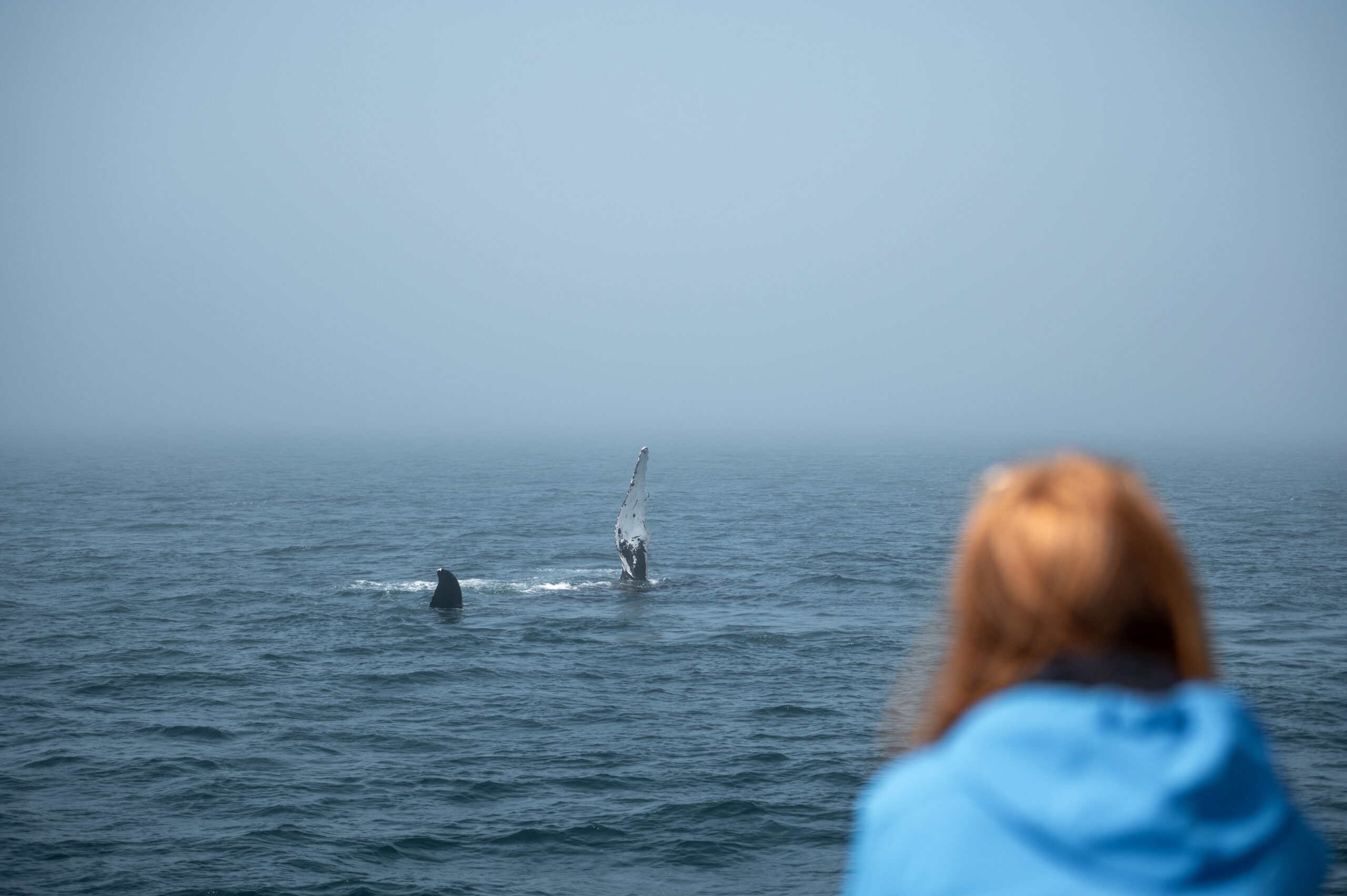 Mein Weg zu mehr „Offline Pleasure“