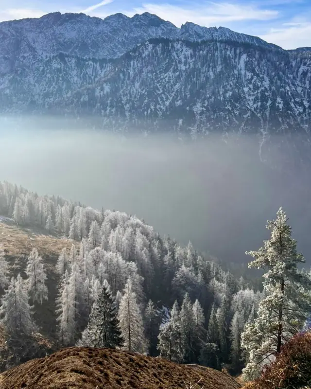 ↟ The forest is the path ⟡

Wenn der Hausberg dich ruft, wenn das erste Licht über das Kaisertal fällt und das Kaisergebirge dir einen stillen „Guten Morgen“-Kuss aufdrückt – dann beginnt der Tag nicht einfach, er öffnet sich wie ein neues Kapitel.

The forest is the path. 🌲
Kein Ziel, kein Plan – nur der Weg selbst, der zählt. Die Natur zeigt es uns immer wieder: Der Pfad entsteht, indem wir ihn gehen. Kein Umweg ist umsonst, kein Moment verschwendet.

Vielleicht liegt genau darin die Wahrheit: Nicht nach dem perfekten Weg suchen, sondern losgehen und fühlen.

🎶 Snow Patrol hat es mit diesem Album eingefangen – ein Motto, das beflügelt.

🌿 Morgenmomente wie diese – ein Geschenk.
Einladung angenommen. Losgehen. Staunen.

⇣
⇣
⇣
✁— HASHTAG — ༻
❧ #offlinepleasure #kaisergebirge #theforestisthepath #snowpatrol #hikinglove #naturemagic
✃—– FIN —– ༻